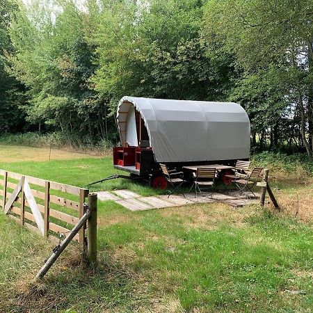 Huifkar In Landelijke Omgeving De Mersken 9 Ureterp Екстер'єр фото